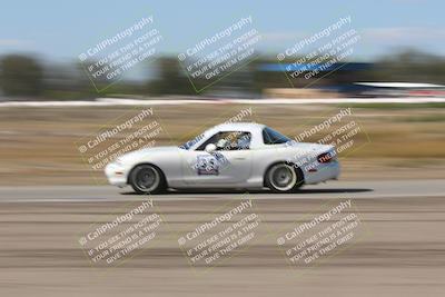 media/Oct-04-2025-OnGrid (Sat) [[44bd565ffa]]/Purple Group/Grapevine/